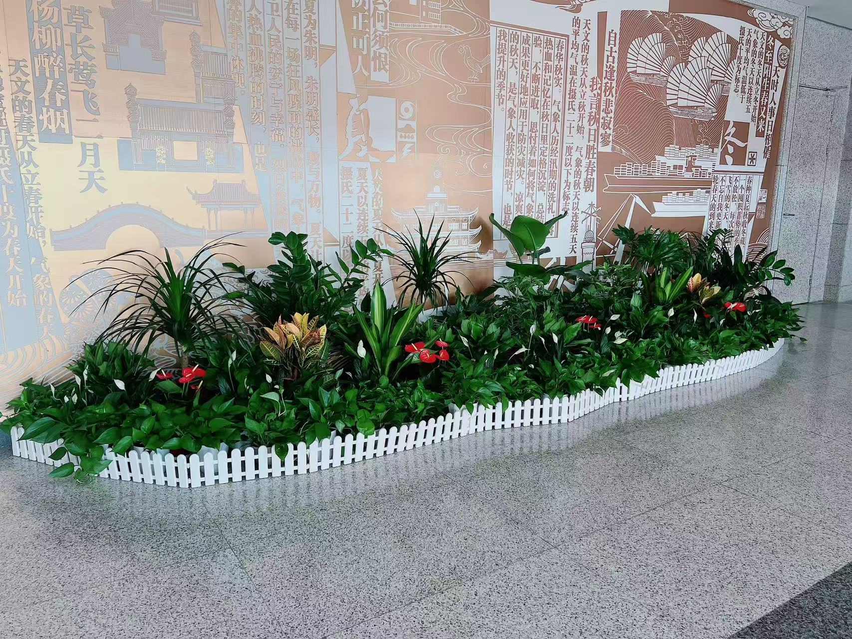 植物出租选哪家？宁波前湾这家超值得